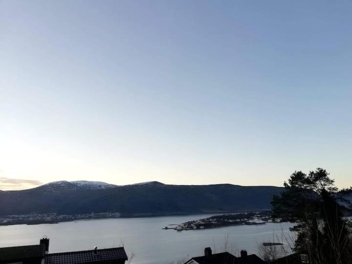Cozy, Inspiring Apartment!!! Alesund Ngoại thất bức ảnh